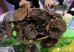 第9屆義烏森博會(huì)首設(shè)國(guó)家精準(zhǔn)扶貧展區(qū)